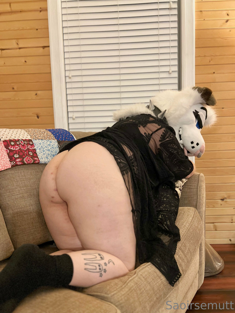 Photo by saoirsemutt published on July 4,2023 13:47:39 - BestThots