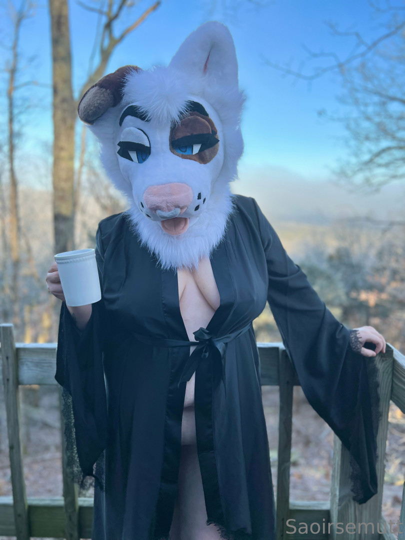 Photo by saoirsemutt published on July 4,2023 13:47:59 - BestThots