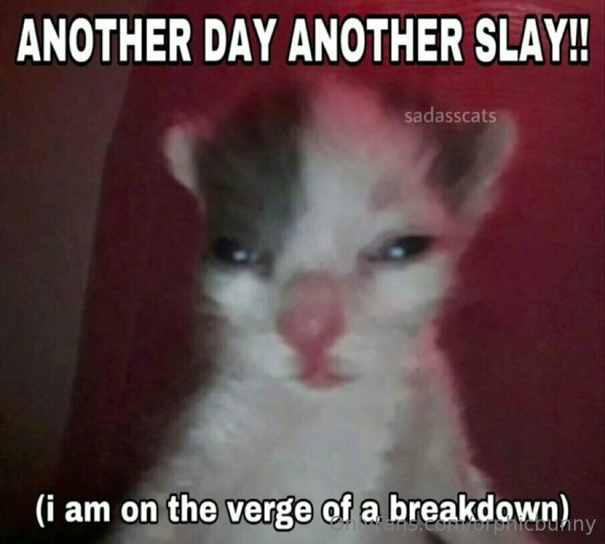 Photo by orphicbunny published on October 16,2023 11:07:28 - BestThots