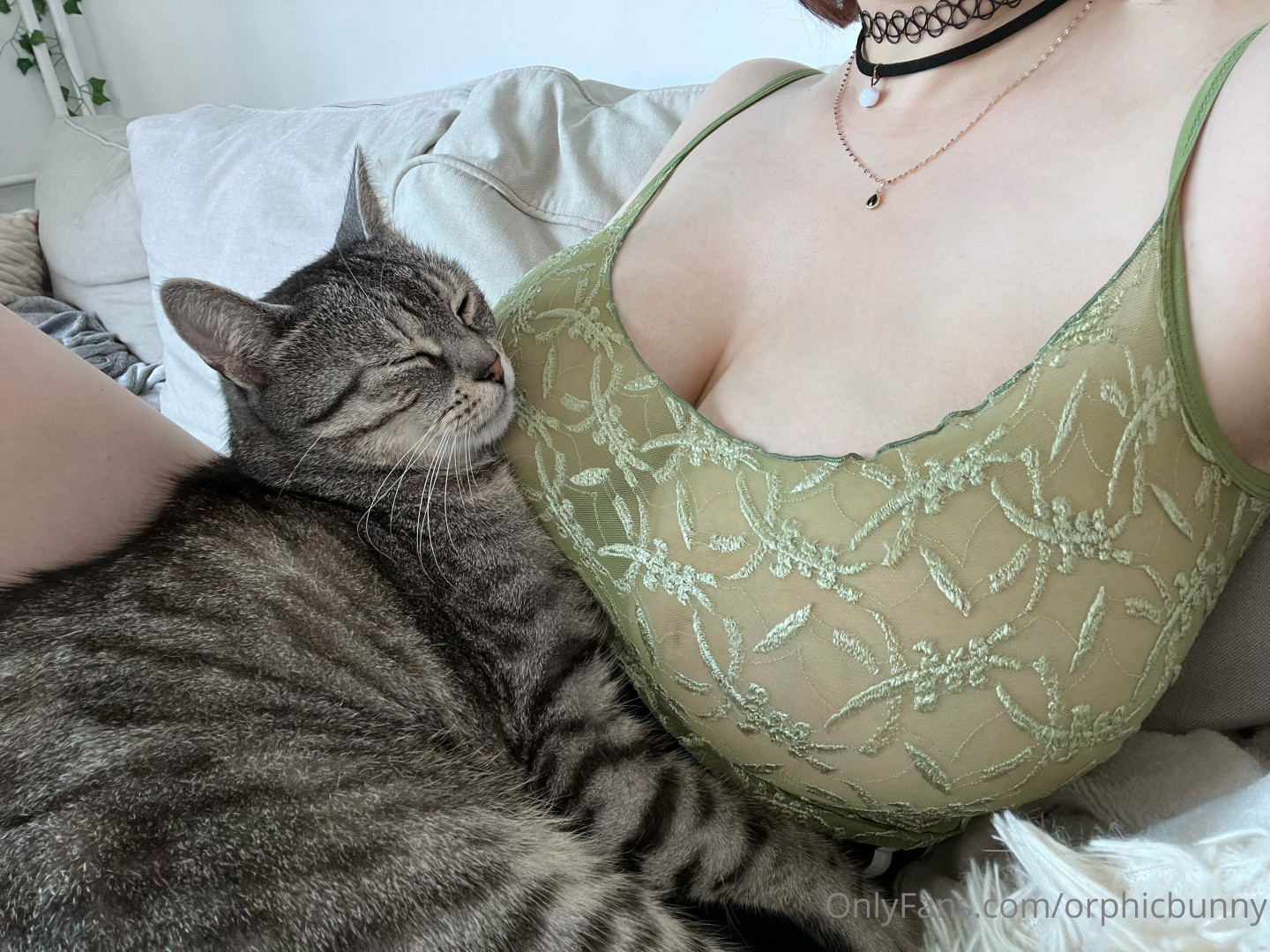 Photo by orphicbunny published on October 16,2023 12:55:50 - BestThots