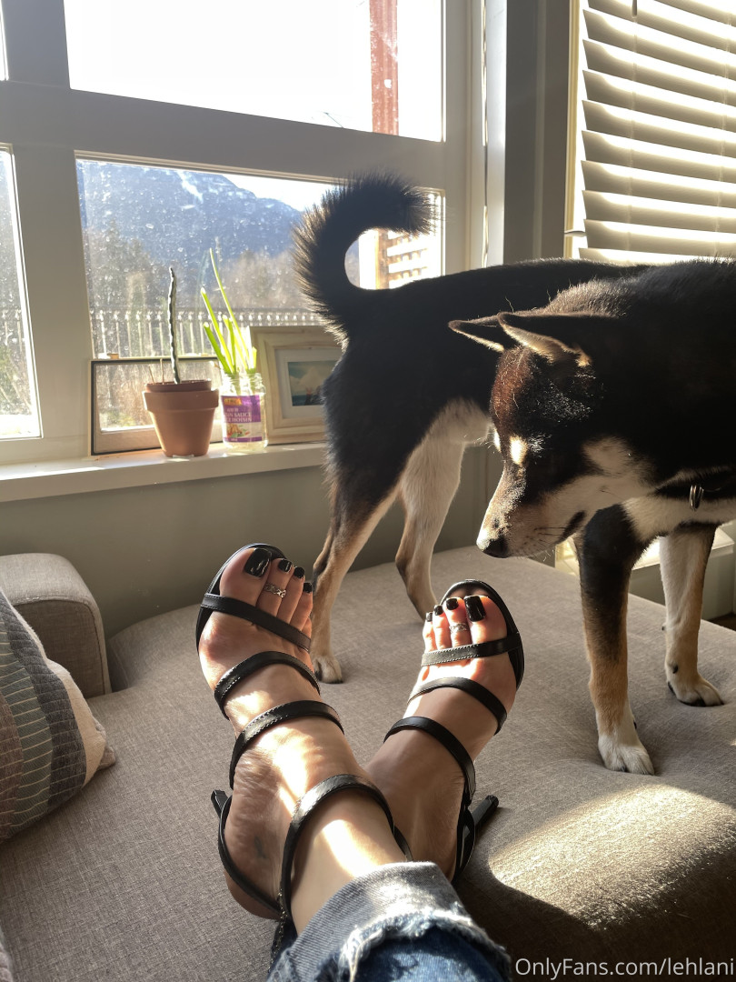 Photo by lehlani published on August 28,2023 09:58:52 - BestThots