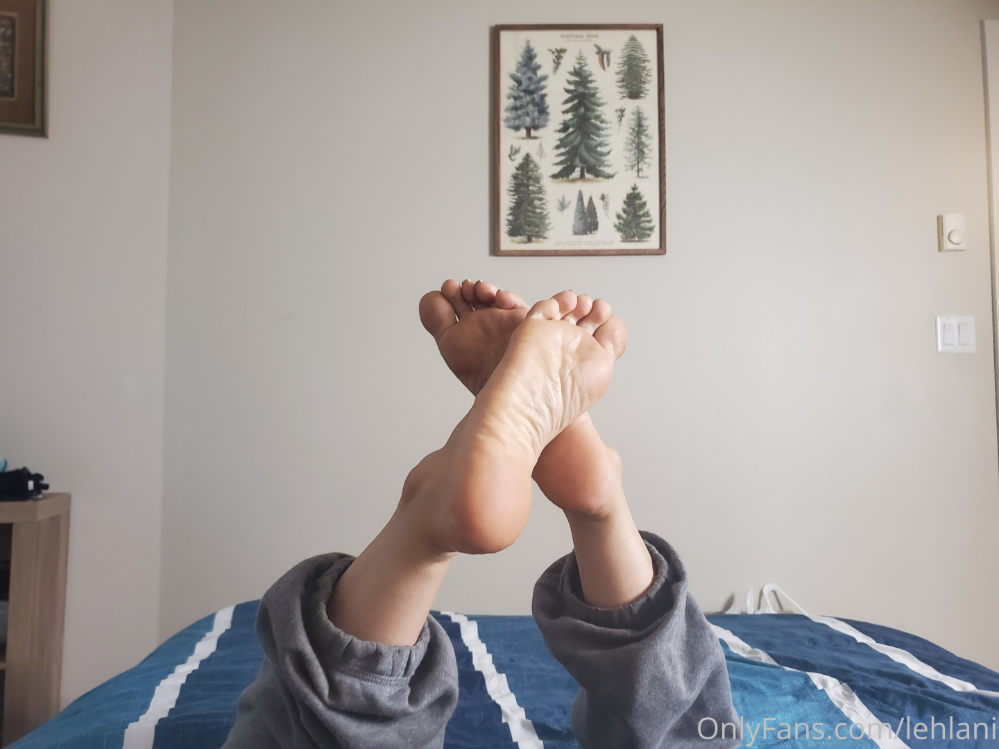 Photo by lehlani published on August 28,2023 10:54:13 - BestThots