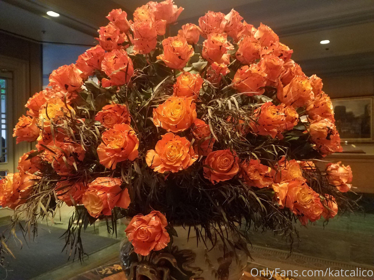 Photo by katcalico published on October 15,2023 00:31:45 - BestThots