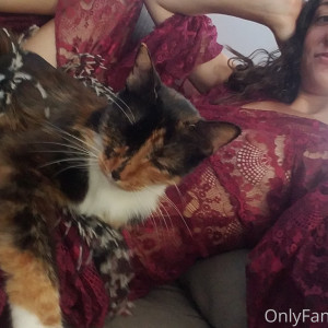 katcalico #6614782