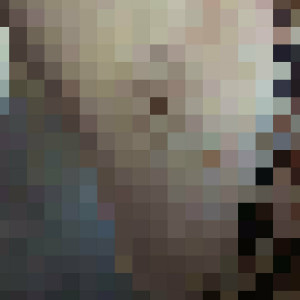 ash.renee.ley #8609487