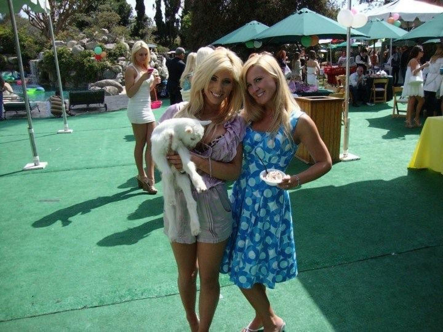 Photo by tashareign published on October 13,2023 03:25:00 - BestThots