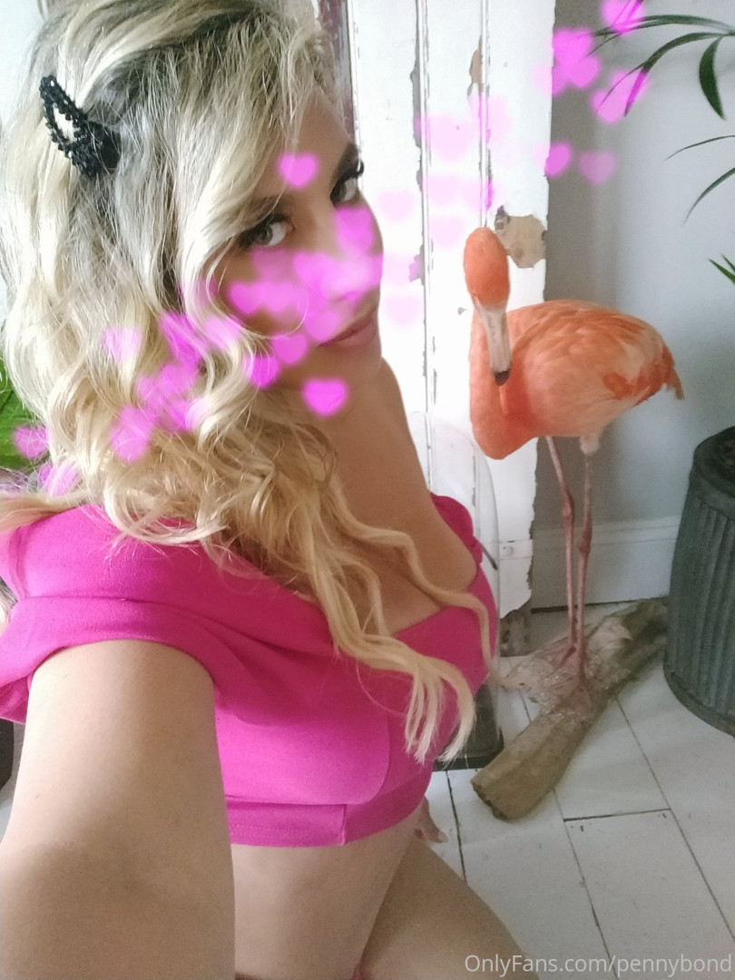 Photo by pennybond published on October 12,2023 15:58:00 - BestThots