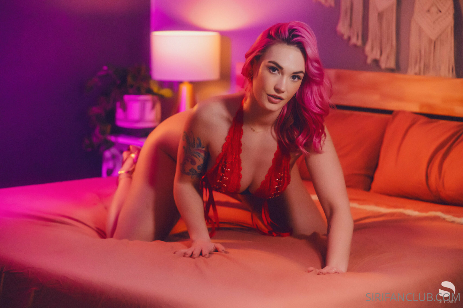 Photo by siridahl published on October 16,2023 21:19:41 - BestThots