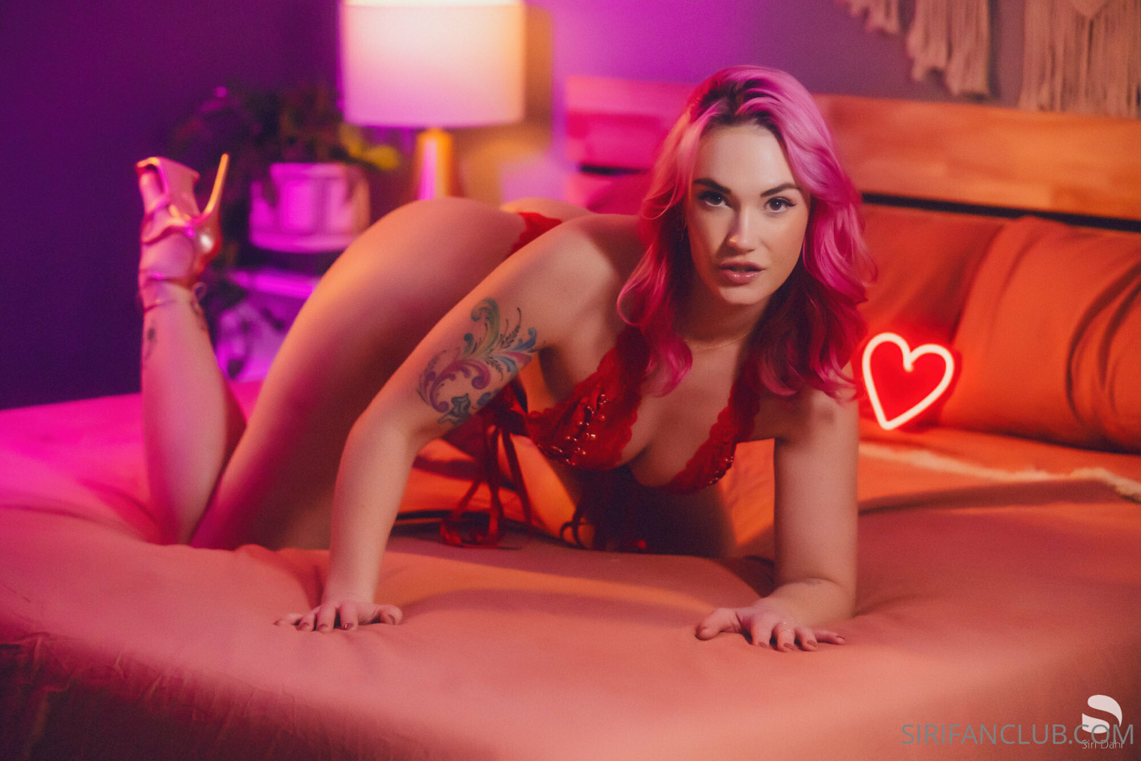 Photo by siridahl published on October 16,2023 21:19:51 - BestThots