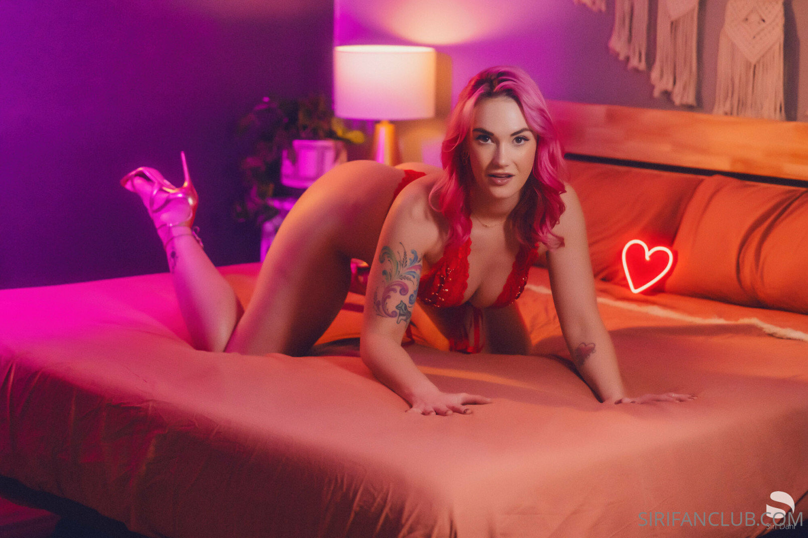 Photo by siridahl published on October 16,2023 21:19:57 - BestThots