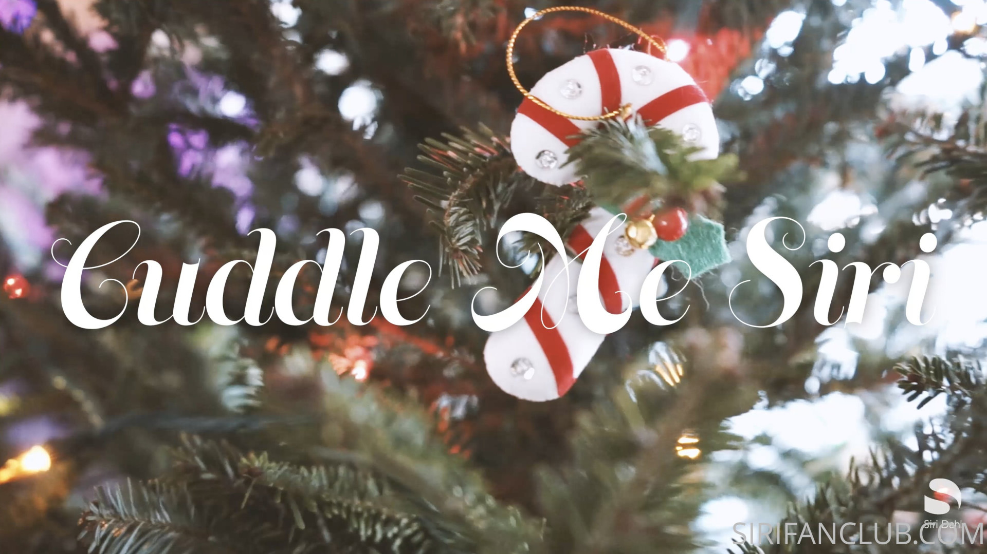 Photo by siridahl published on October 16,2023 21:32:49 - BestThots