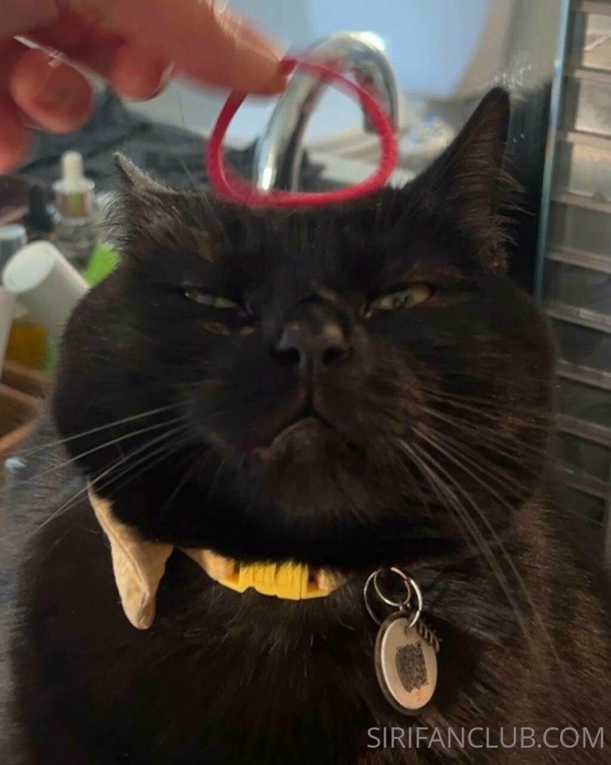 Photo by siridahl published on October 16,2023 22:01:48 - BestThots