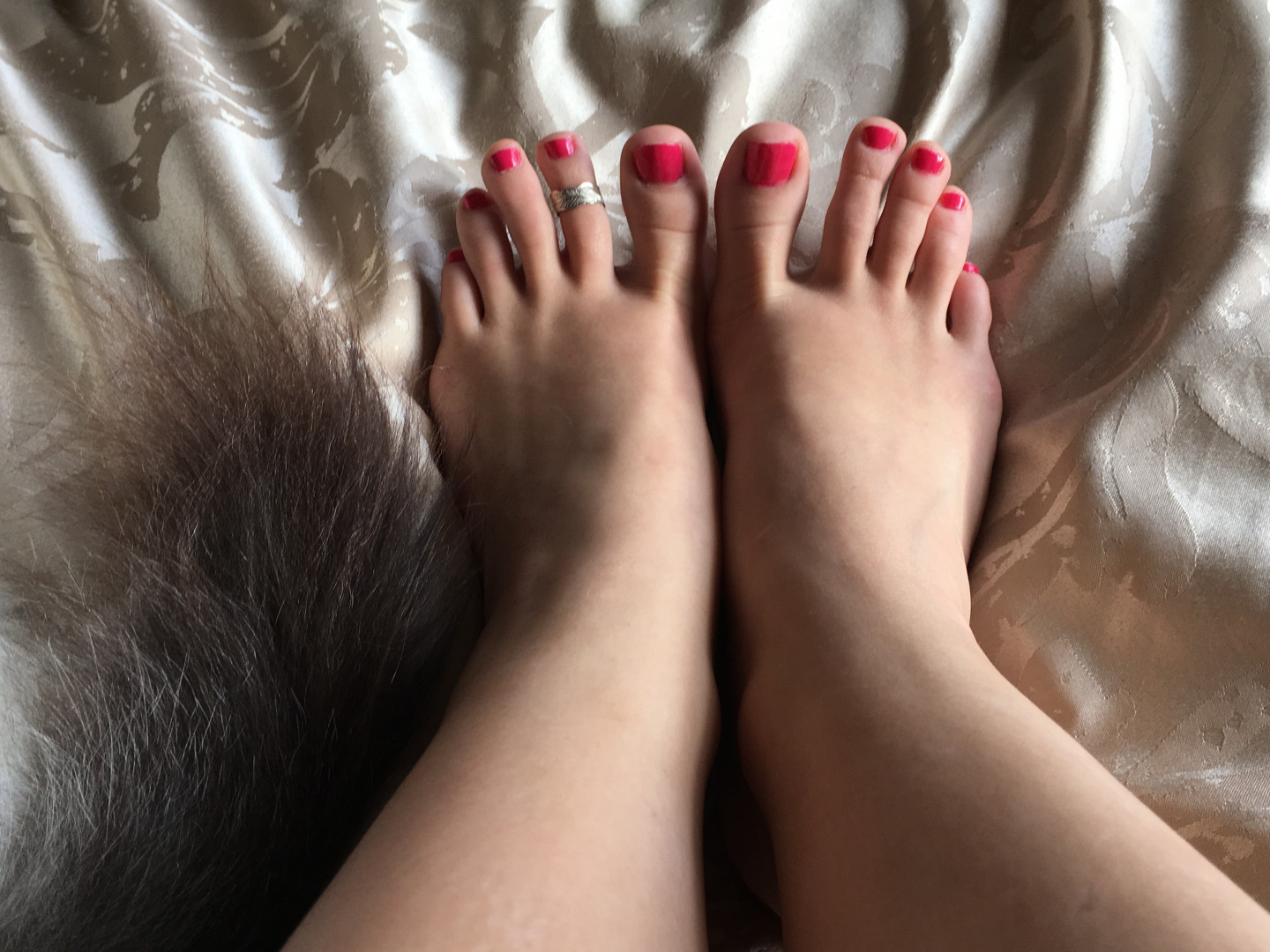 Photo by evadevil published on January 14,2024 20:29:20 - BestThots