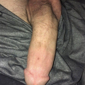 gayb0ybluepalm91 #9223017