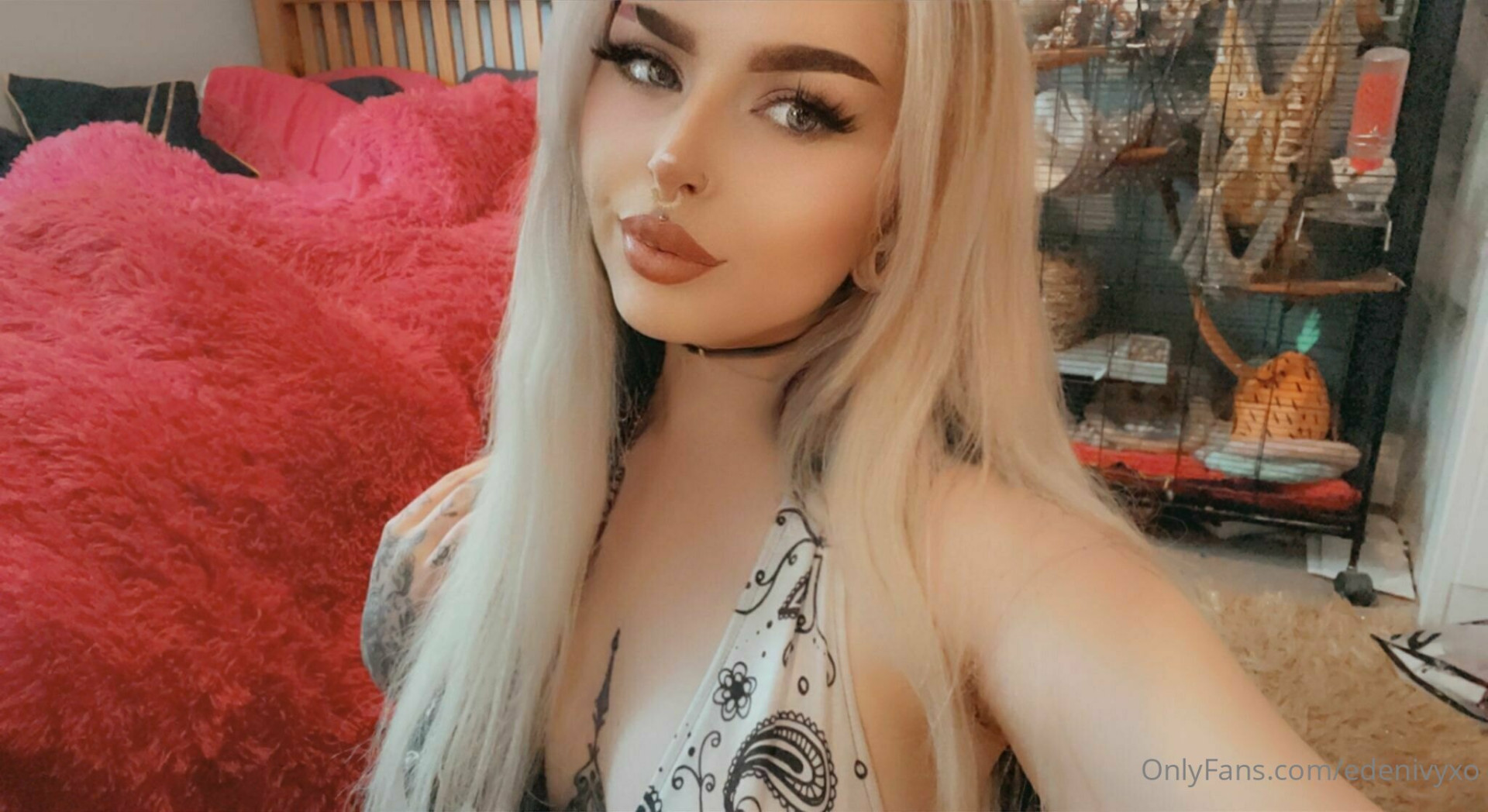 Photo by edenxivy published on May 28,2023 00:25:52 - BestThots