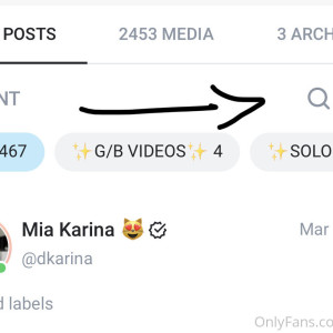 dkarina #9383975