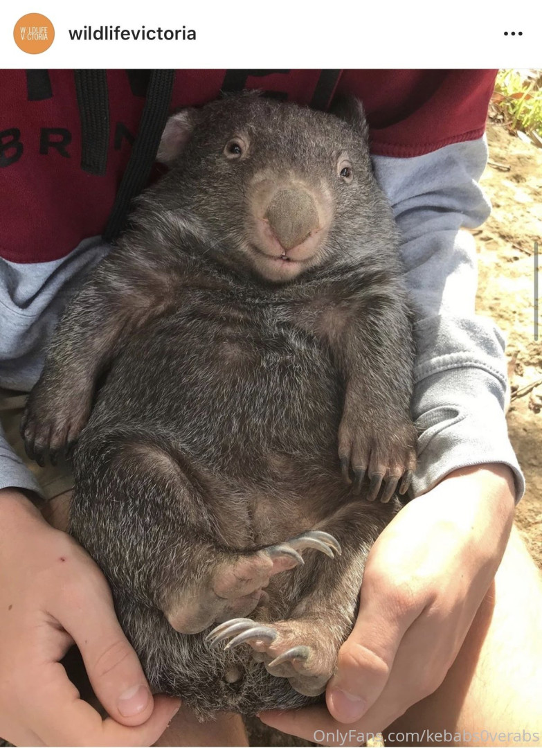 Photo by kebabs0verabs published on August 5,2023 20:24:28 - BestThots