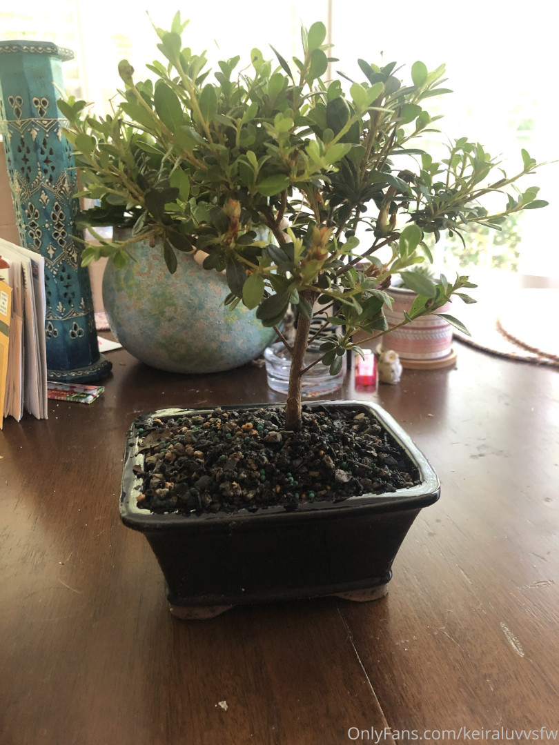 Photo by ashleyphoenixfans published on November 2,2023 11:07:14 - BestThots