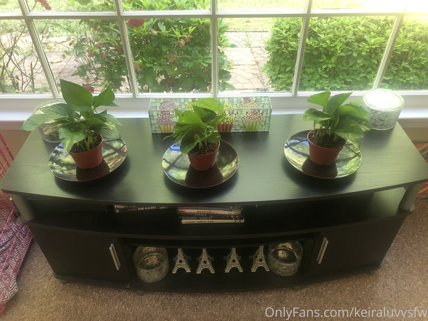 Photo by ashleyphoenixfans published on November 2,2023 11:07:26 - BestThots