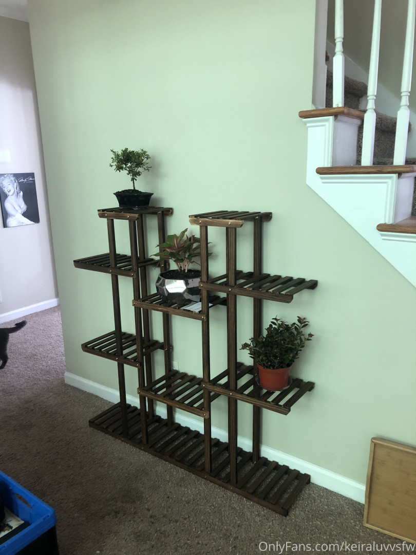 Photo by ashleyphoenixfans published on November 2,2023 11:08:27 - BestThots