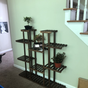 ashleyphoenixfans #8291687