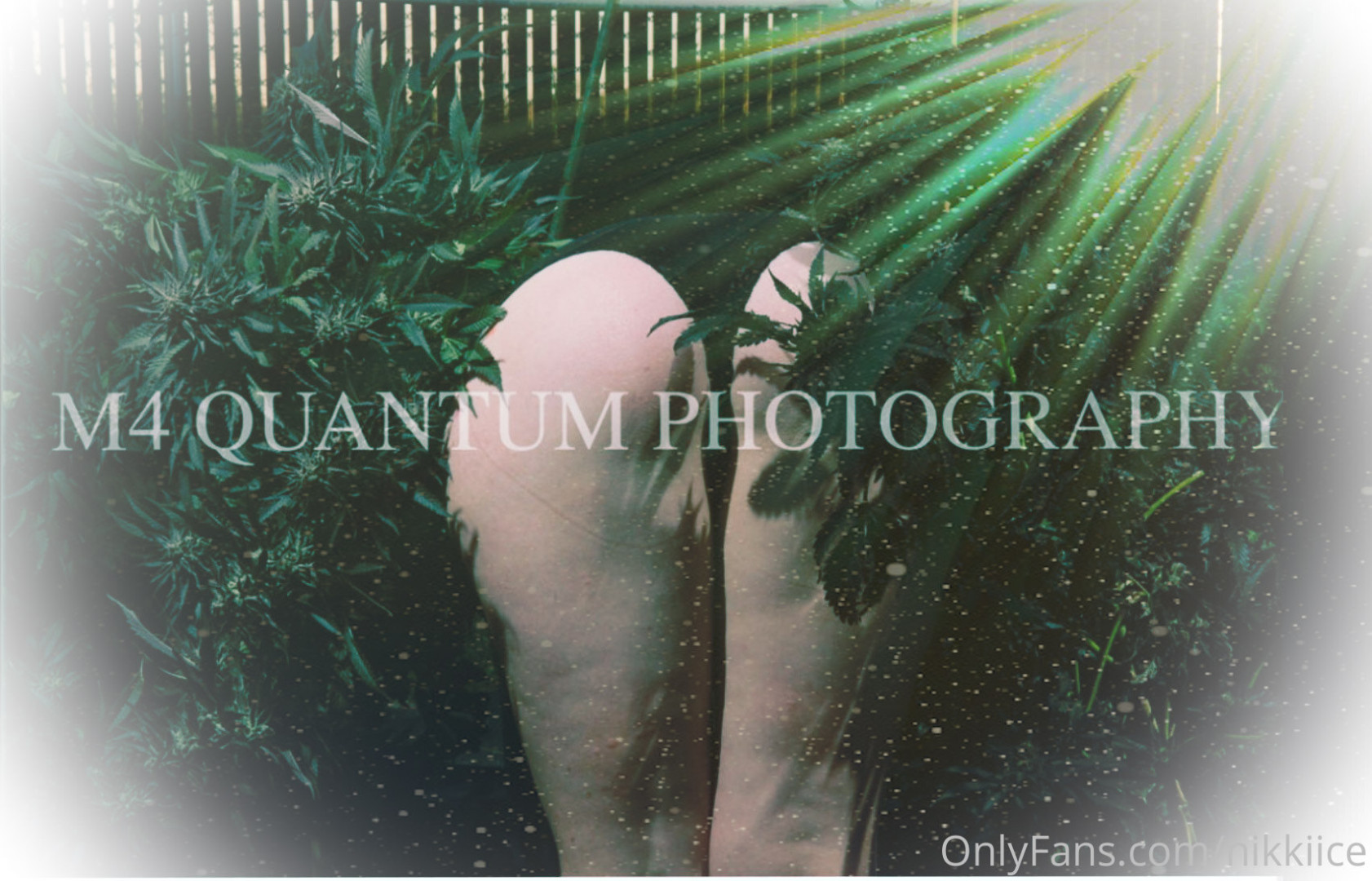 Photo by nikkiice published on May 20,2023 02:03:41 - BestThots