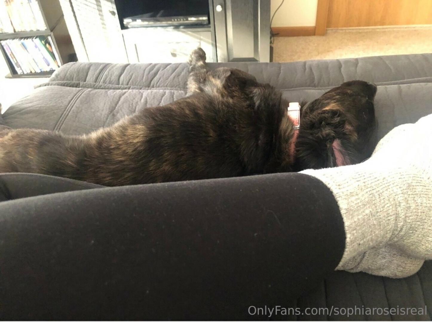 Photo by sophiaroseisreal published on May 17,2023 18:47:47 - BestThots