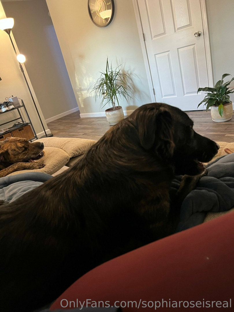 Photo by sophiaroseisreal published on May 17,2023 18:47:50 - BestThots