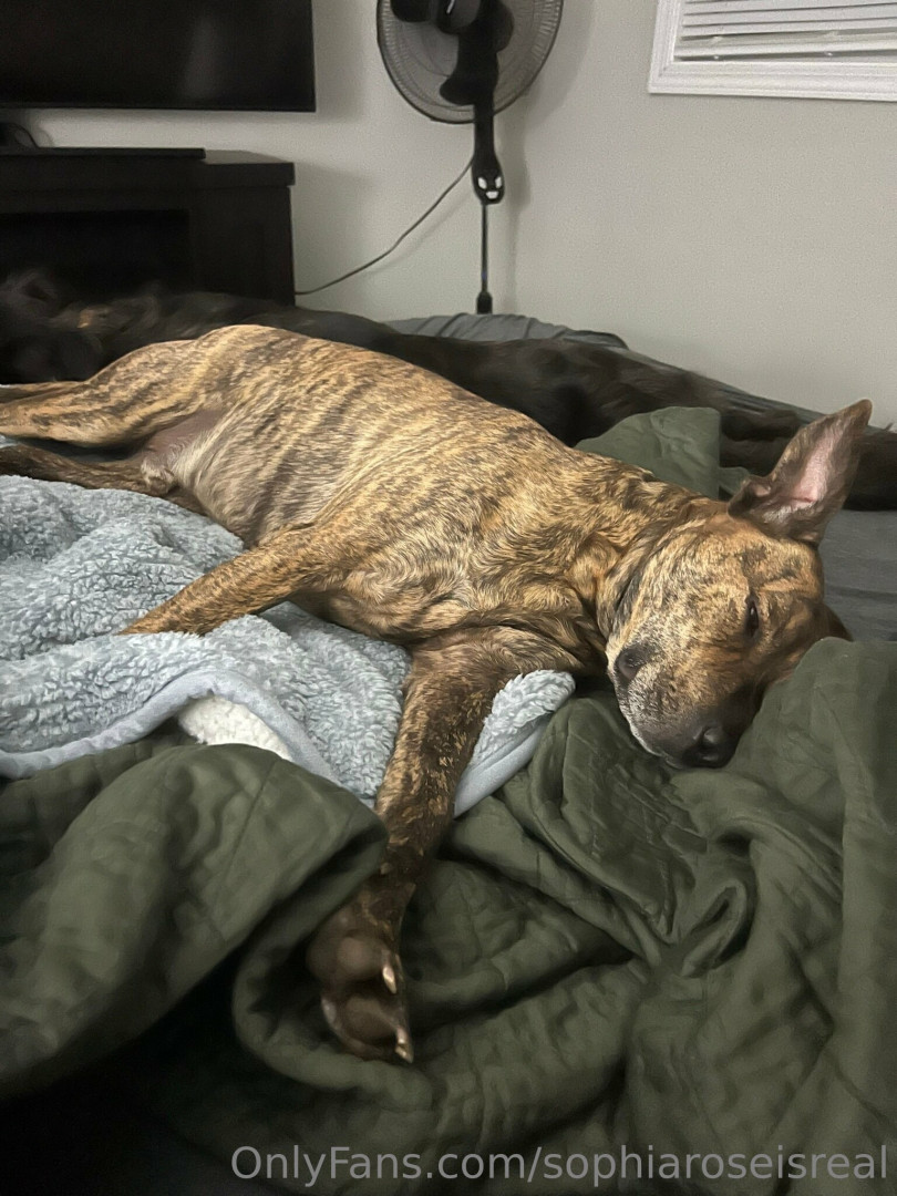 Photo by sophiaroseisreal published on May 17,2023 18:48:53 - BestThots