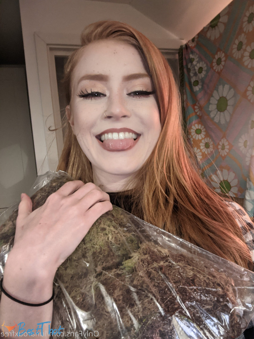 Photo by lunarouxfree published on December 13,2024 16:06:11 - BestThots