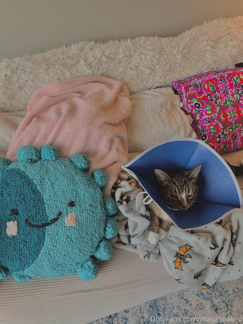 Photo by mayasnaked published on August 23,2023 07:26:56 - BestThots