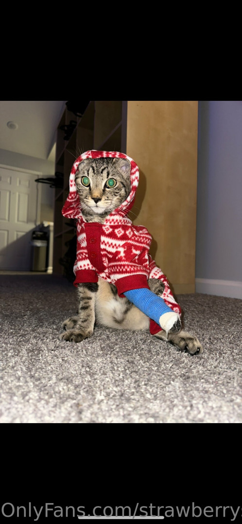 Photo by strawberryshortcakes420 published on May 17,2023 14:32:05 - BestThots