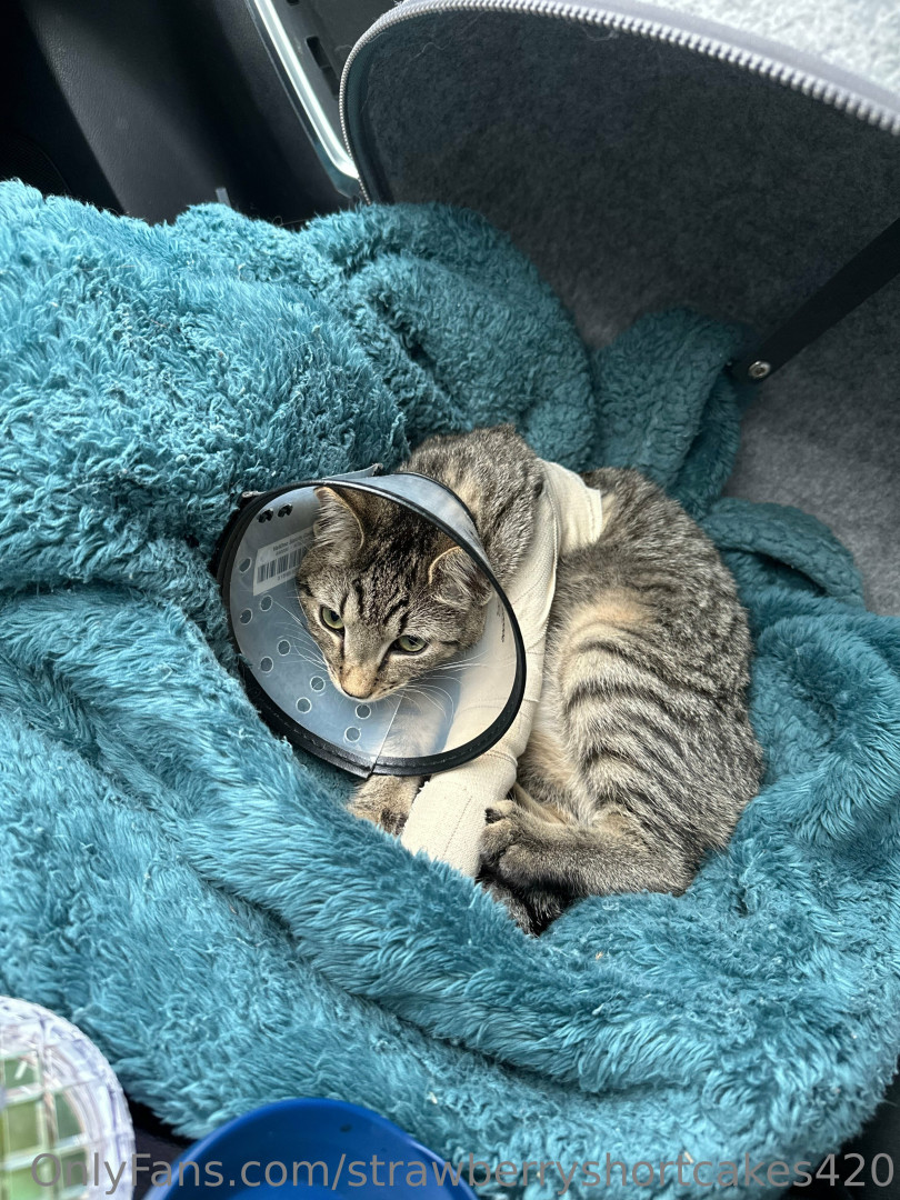 Photo by strawberryshortcakes420 published on May 17,2023 14:33:36 - BestThots