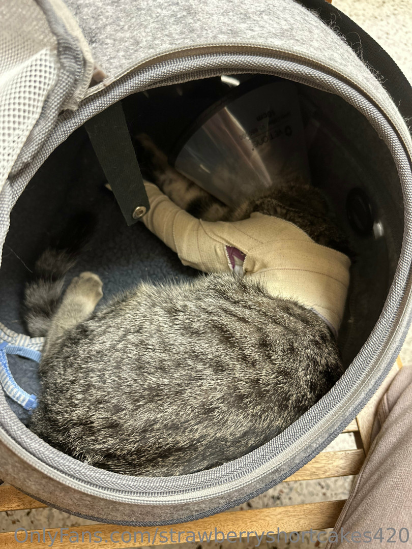 Photo by strawberryshortcakes420 published on May 17,2023 14:33:39 - BestThots