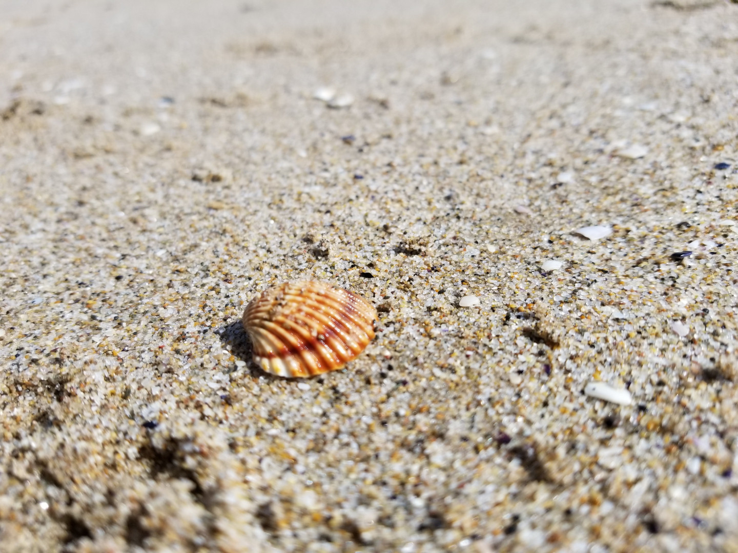 Photo by tommypistol published on May 16,2023 15:44:12 - BestThots