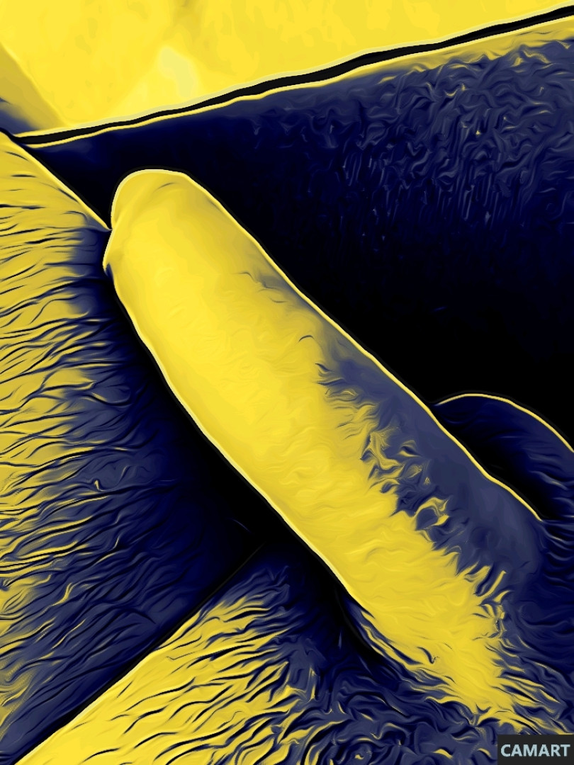 Photo by tommypistol published on May 16,2023 15:44:17 - BestThots