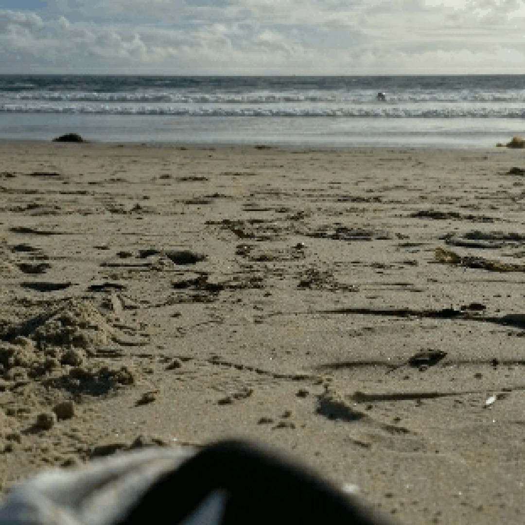 Photo by tommypistol published on May 16,2023 15:45:54 - BestThots