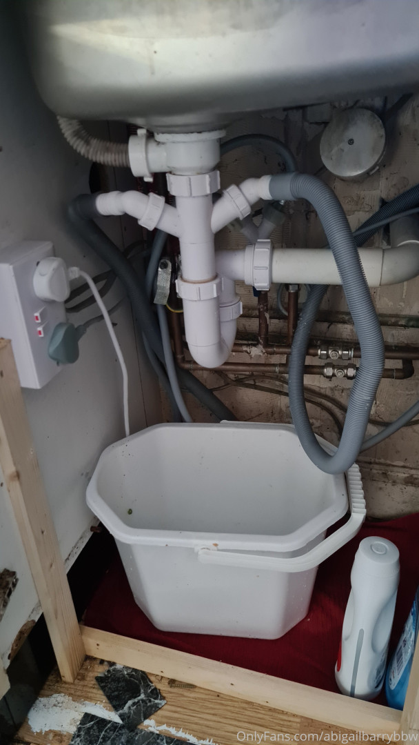 Photo by abigailbarrybbw published on November 20,2023 09:53:43 - BestThots