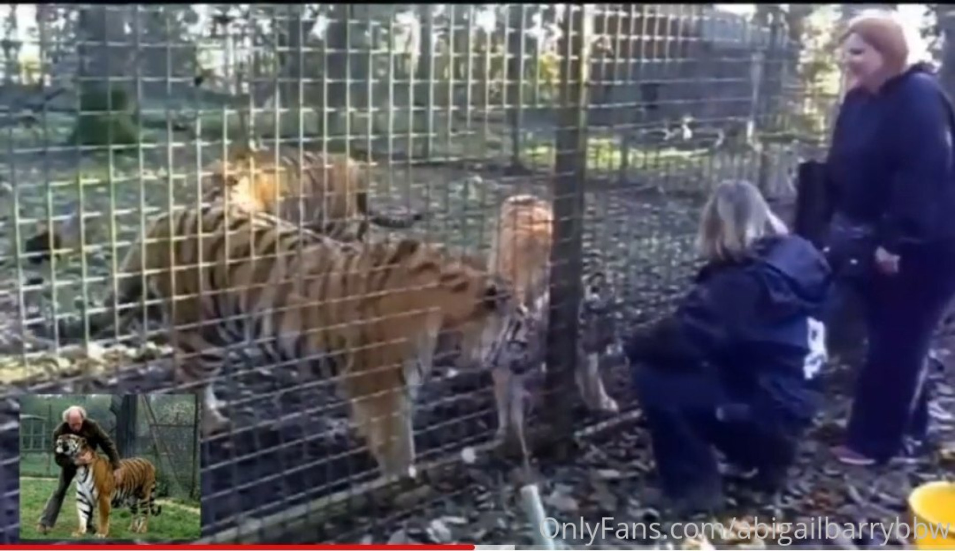 Photo by abigailbarrybbw published on November 20,2023 09:54:12 - BestThots