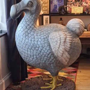 abigailbarrybbw #8389674