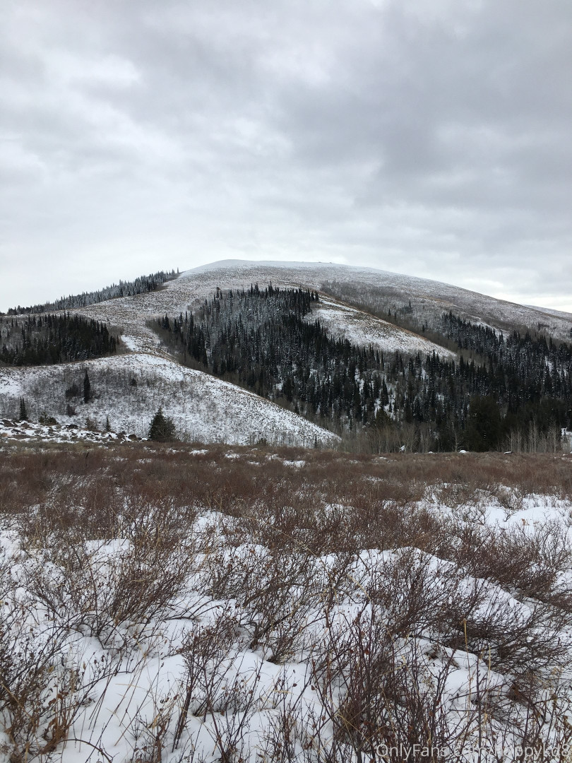 Photo by happykd82 published on October 16,2023 13:40:31 - BestThots