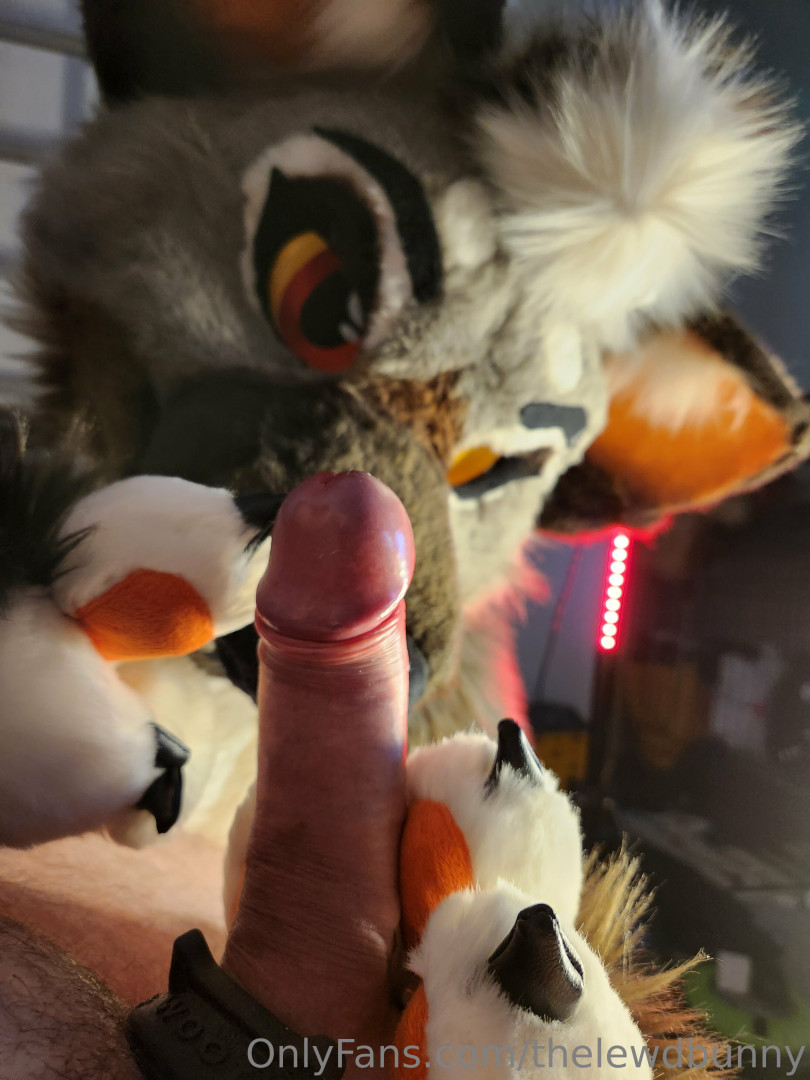 Photo by thelewdbunny published on July 2,2023 07:56:13 - BestThots