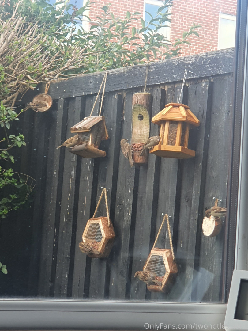 Photo by twohotlesbians published on May 16,2023 13:40:32 - BestThots