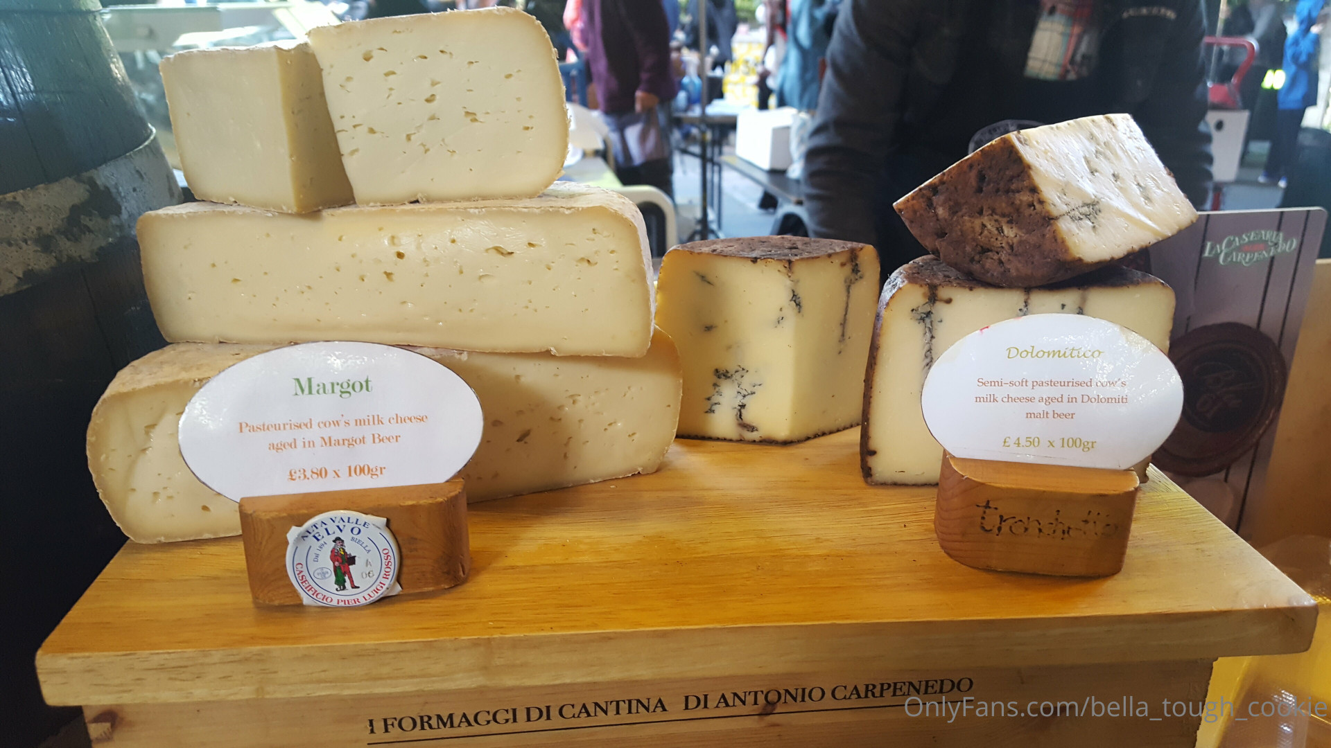 Photo by bella_tough_cookie published on December 11,2023 04:58:39 - BestThots