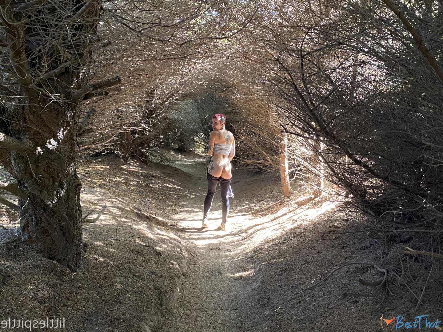 Photo by littlespittle published on December 25,2024 04:10:51 - BestThots