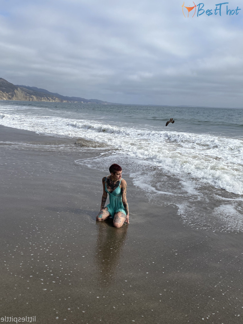 Photo by littlespittle published on December 25,2024 07:12:05 - BestThots