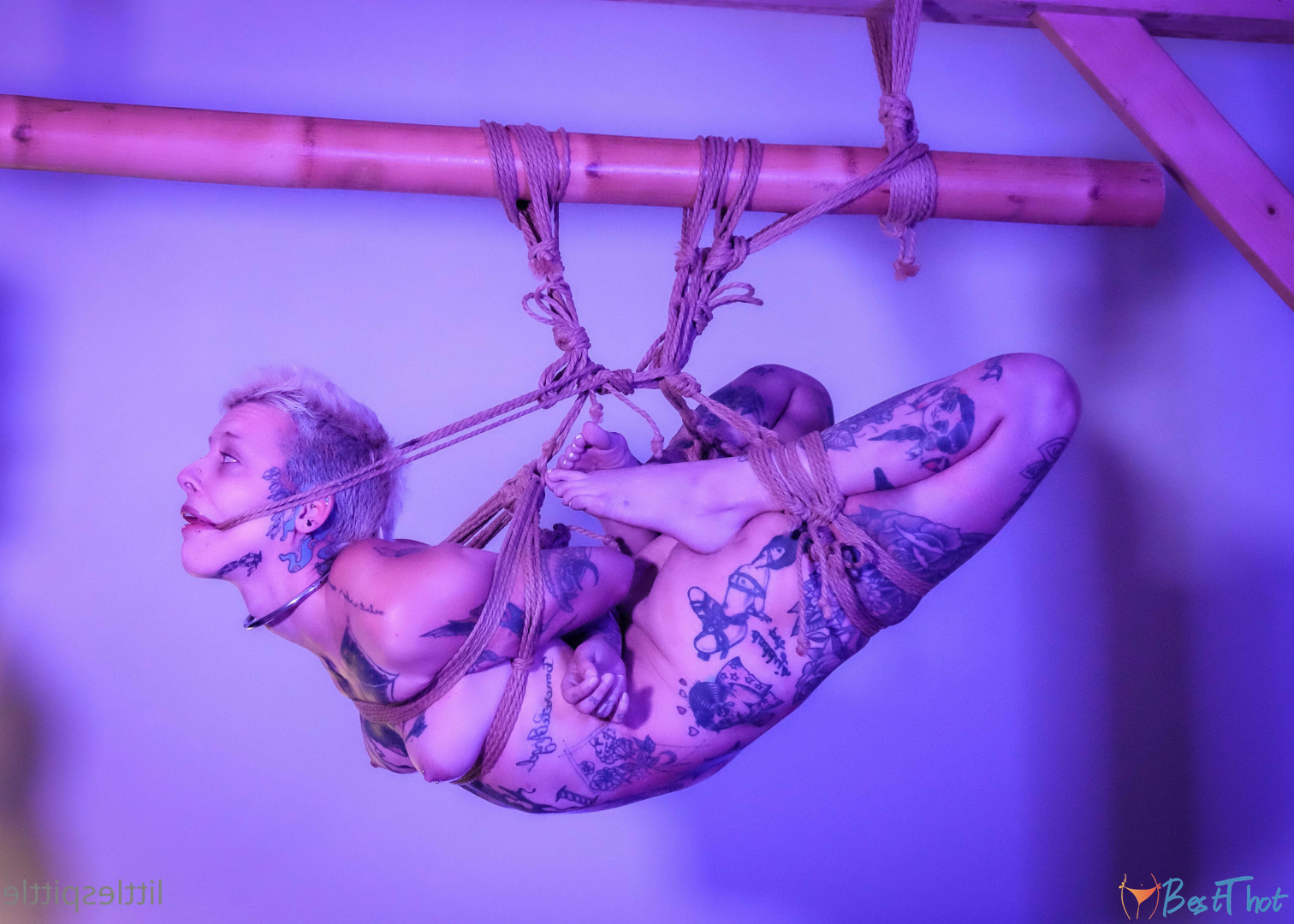 Photo by littlespittle published on December 25,2024 08:12:44 - BestThots