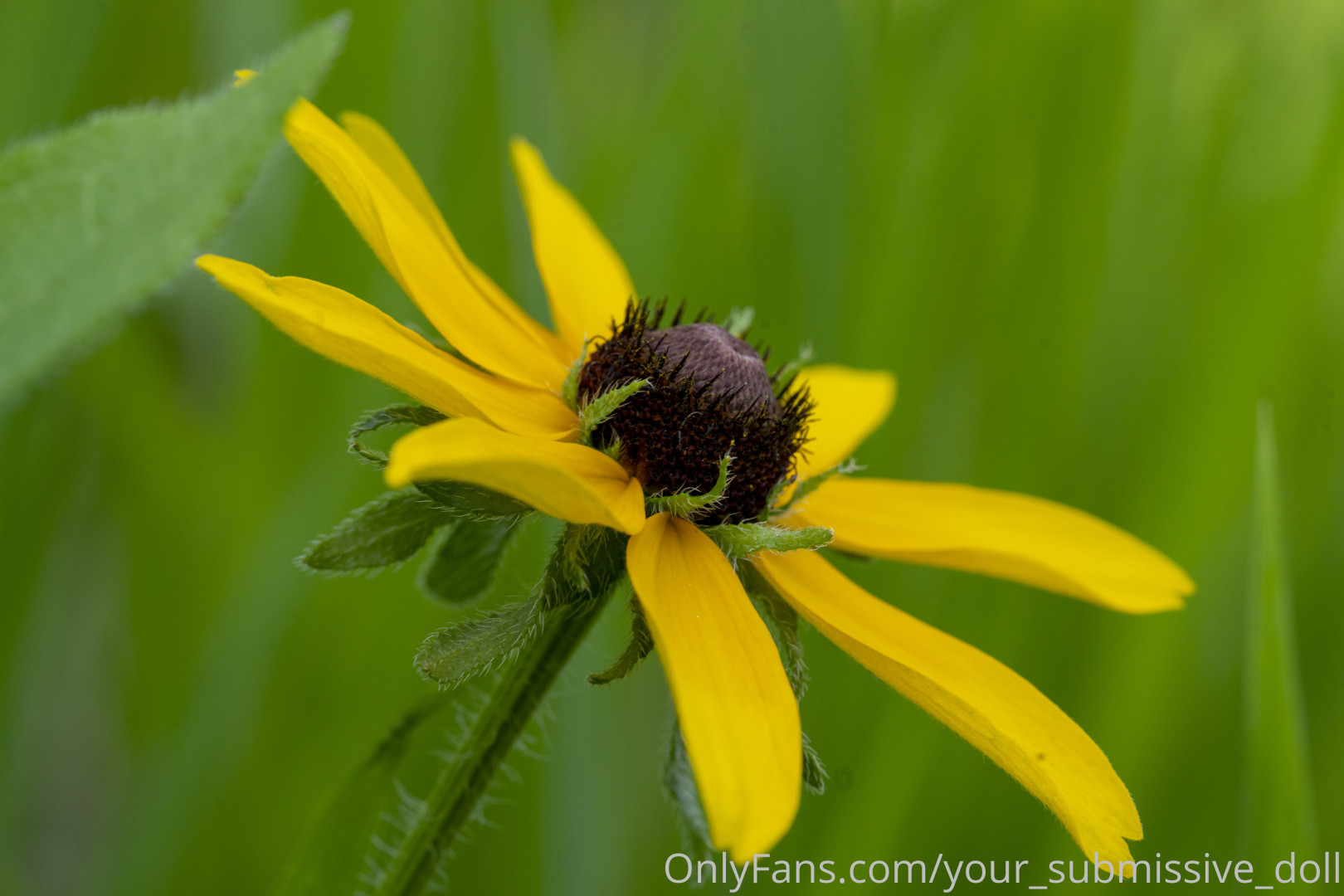 Photo by your_submissive_doll published on August 9,2023 13:51:53 - BestThots