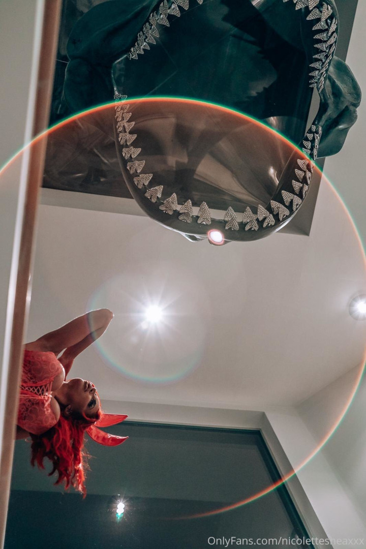 Photo by nicolettesheasquad published on August 19,2023 05:20:32 - BestThots