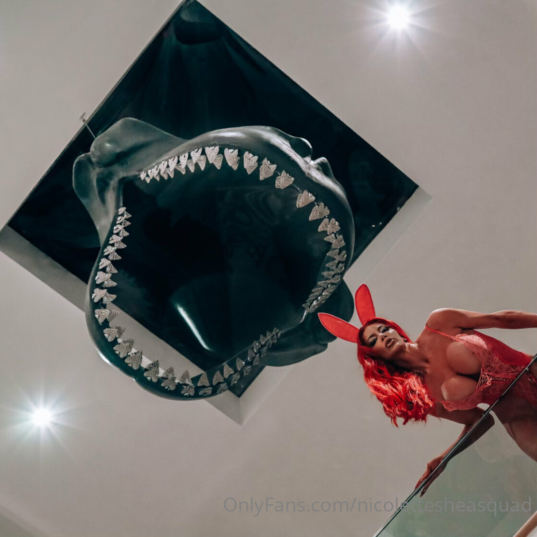 Photo by nicolettesheasquad published on October 17,2023 09:20:46 - BestThots